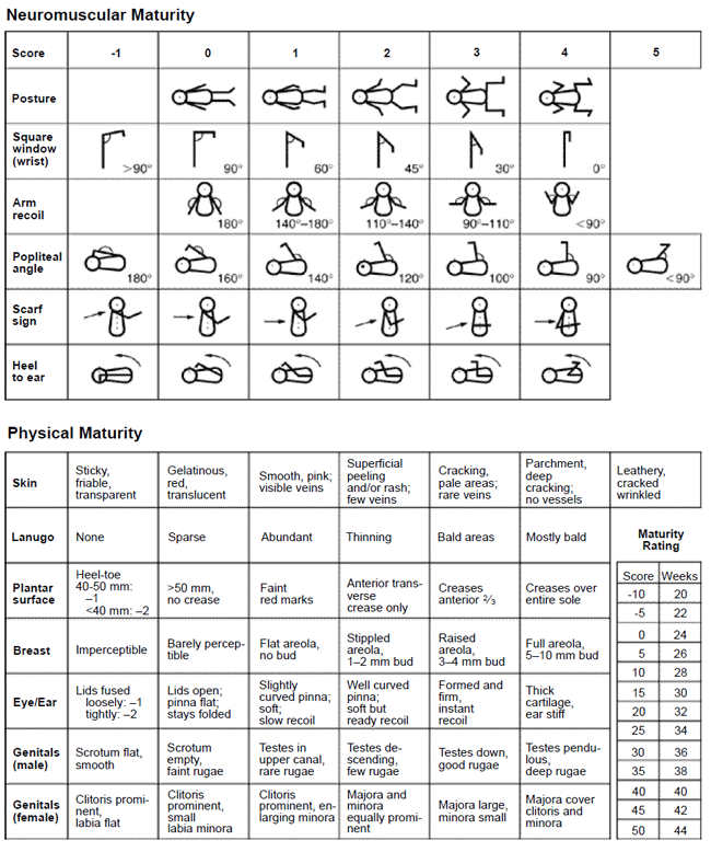 Newborn Assessment Chart