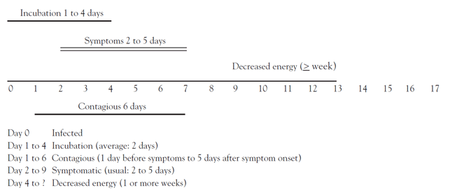 Course Content - #94423: Influenza: A Comprehensive Review ...